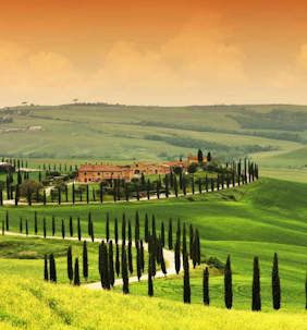 Tuscan Vineyard Italy