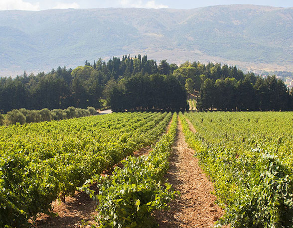 Lebanon