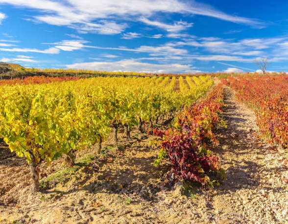 Rioja