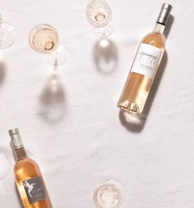 Rose_de_Provence