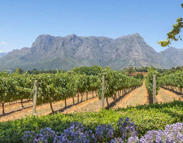 south africa