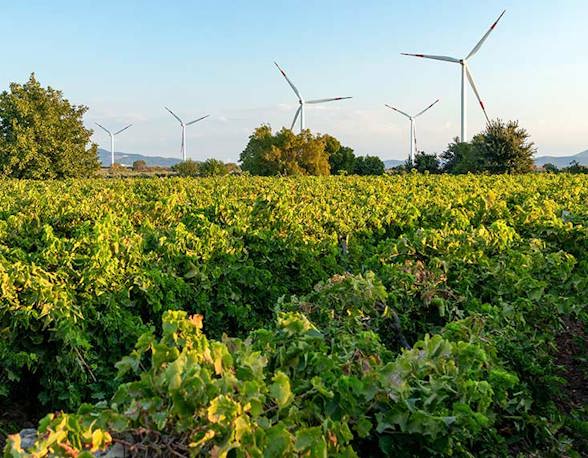 Sustainability