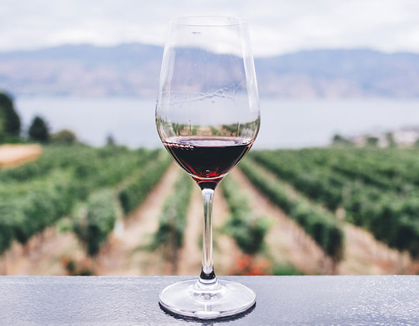 Vegan wine