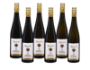 Berg GG Kunstler Mixed Case 2021